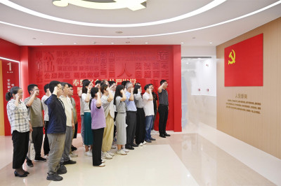 以案為戒知敬畏 警鐘長鳴守初心——城投公司黨支部開展主題黨日活動